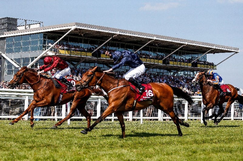 Lockinge Stakes Live Stream Watch the Newbury race live