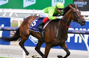 Get $4.80 for Craig Williams to ride 2+ winners at Morphettville