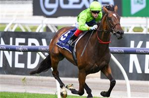 Get $3.70 for Craig Williams to ride 2+ winners at Doomben