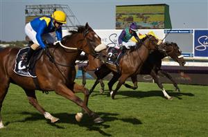 rainbow bridge races