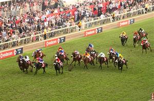 greyville races