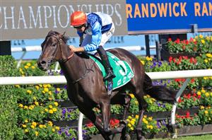 Queensland Oaks Betting Odds - A competitive market has been assembled