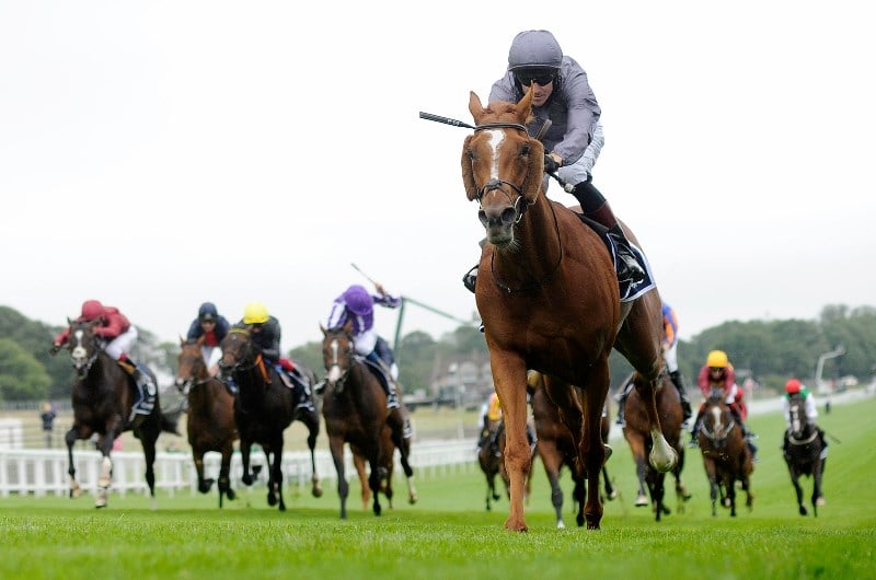 Epsom Derby Live Stream Watch the Epsom race live
