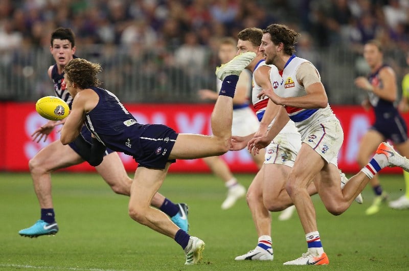Fremantle vs Western Bulldogs Tips, Preview & Odds