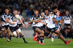 brumbies