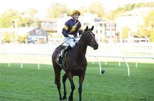 Stradbroke Handicap Barrier Draw