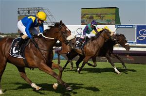 rainbow bridge races