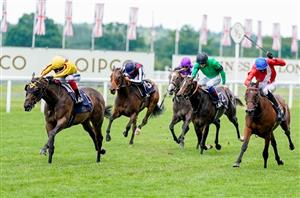 2021 Commonwealth Cup Odds - Campanelle heads wide open betting heat