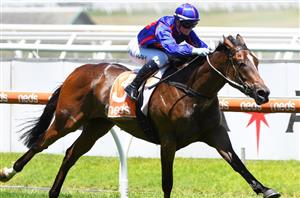 Big Bets for 12.06.2021