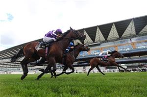 St James's Palace Stakes Live Stream - Watch this Royal Ascot race online