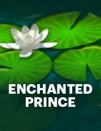 Enchanted Prince Slot
