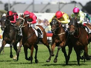 Coffs Harbour Tips