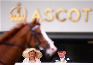 ASCOT, ENGLAND - JUNE 17: Racegoers look on as the runners make their way to the start ahead of the Hampton Court Stakes on Day Three of the Royal Ascot Meeting at Ascot Racecourse on June 17, 2021 in Ascot, England. A total of twelve thousand racegoers made up of Owners and the Public are permitted to attend the meeting due to it being an Events Research Programme (ERP) set up by the government due to the Coronavirus Pandemic. (Photo by Harry Trump/Getty Images)