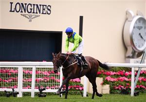 ASCOT, ENGLAND - JUNE 17: Joe Fanning on board Subjectivist on their way to winning the Gold Cup on Day Three of the Royal Ascot Meeting at Ascot Racecourse on June 17, 2021 in Ascot, England. A total of twelve thousand racegoers made up of Owners and the Public are permitted to attend the meeting due to it being an Events Research Programme (ERP) set up by the government due to the Coronavirus Pandemic. (Photo by Harry Trump/Getty Images)