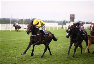 ASCOT, ENGLAND - JUNE 17: Paul Hanagan (L) on board Perfect Power on their way to winning the Norfolk Stakes on Day Three of the Royal Ascot Meeting at Ascot Racecourse on June 17, 2021 in Ascot, England. A total of twelve thousand racegoers made up of Owners and the Public are permitted to attend the meeting due to it being an Events Research Programme (ERP) set up by the government due to the Coronavirus Pandemic. (Photo by Harry Trump/Getty Images)