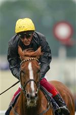ASCOT, ENGLAND - JUNE 17: Frankie Dettori riding Stradavarius after finishing fourth in The Gold Cup on Day Three of the Royal Ascot Meeting at Ascot Racecourse on June 17, 2021 in Ascot, England. A total of twelve thousand racegoers made up of owners and the public are permitted to attend the meeting due to it being an Events Research Programme (ERP) set up by the Government due to the Coronavirus pandemic. (Photo by Alan Crowhurst/Getty Images)