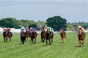 Commonwealth Cup Live Stream - Watch this Royal Ascot race online