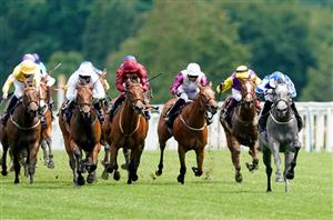 2021 Diamond Jubilee Stakes Tips - 7/1 shot can Power through the mud at Ascot