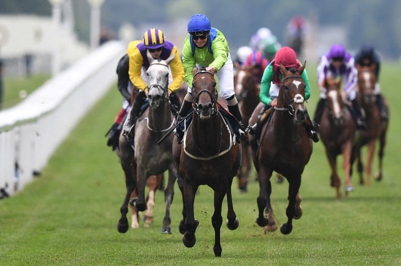 When is the 2023 Ascot Gold Cup?