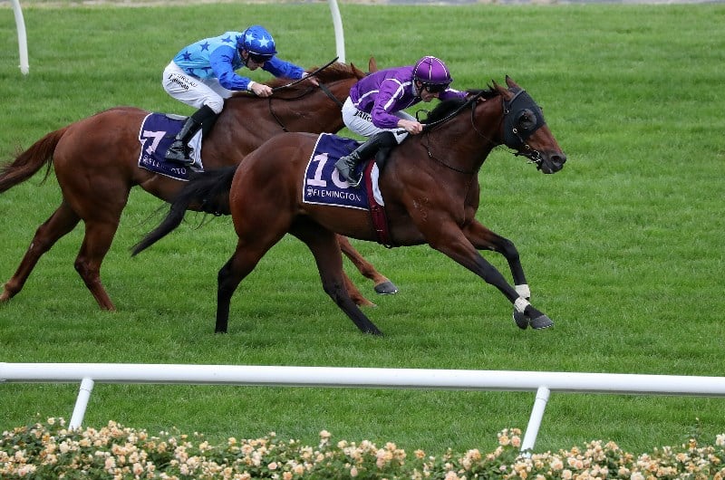 Ballarat Synthetic Racing Tips, Best Bets & Odds for June 25