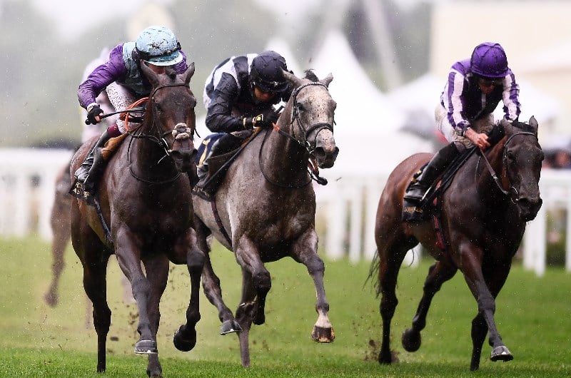 coronation stakes