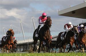 Civic Stakes Tips 2021