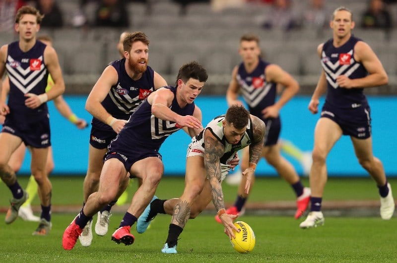Collingwood vs Fremantle Dockers Tips, Preview & Odds