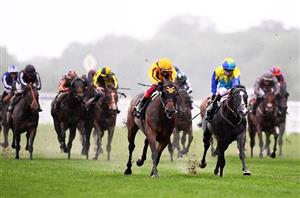When is the 2022 Commonwealth Cup?