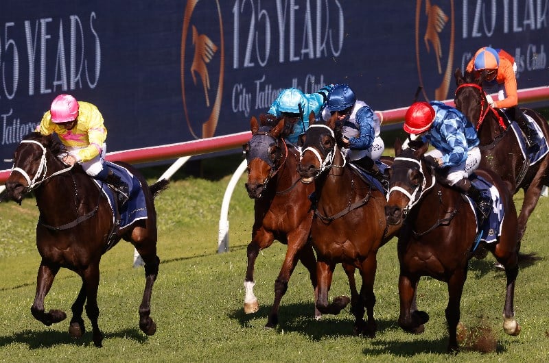 Saturday Races Saturday Blackbookers - June 26 - Runners To Follow from Saturday racing
