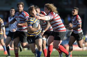 Shute Shield rugby