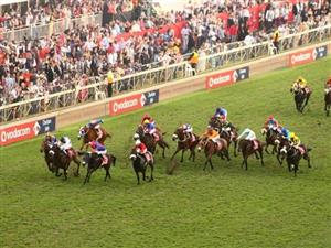 Durban July Live Stream - Watch this historic handicap live from Greyville