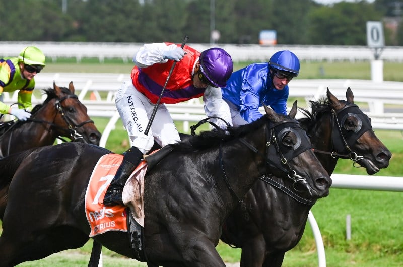 Boss Labels Artorius 'Superstar'