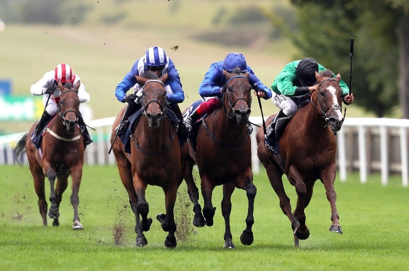 falmouth stakes
