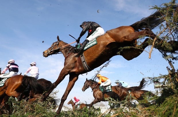 grand national aintree 2019