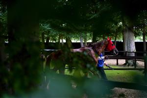 NEWMARKET, ENGLAND - JULY 08: A general view of the pre parade ring at Newmarket Racecourse on July 08, 2021 in Newmarket, England. Due to the Coronavirus pandemic, only owners along with a limited number of the paying public will be allowed to attend the meeting. (Photo by Alan Crowhurst/Getty Images)