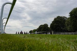 NEWMARKET, ENGLAND - JULY 08: A general view as runners cross the line in The John Deere Handicap at Newmarket Racecourse on July 08, 2021 in Newmarket, England. Due to the Coronavirus pandemic, only owners along with a limited number of the paying public will be allowed to attend the meeting. (Photo by Alan Crowhurst/Getty Images)