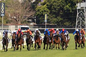 newcastle tips for 18.05.2021