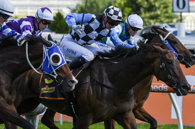 Tab Punter Multi Collect
