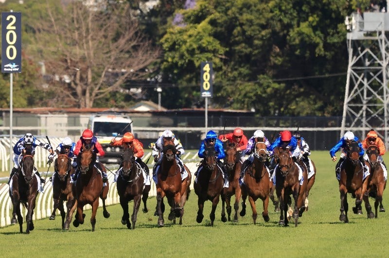 newcastle tips for 18.05.2021