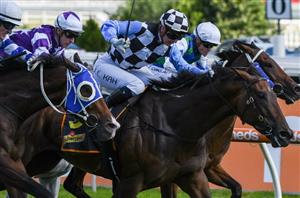 Tab Punter Multi Collect