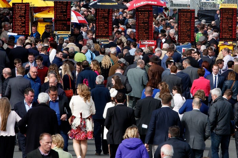 punchestown betting ring