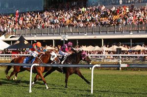 Ipswich Betting Tips