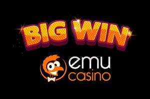 Kiwi big winner scores big wins after big wins