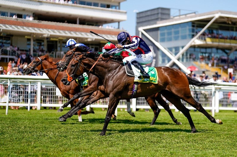 Platinum Jubilee Stakes Tips
