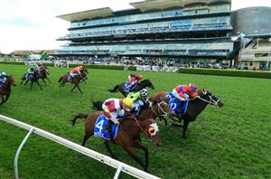 Winx Stakes Odds - Latest Betting Market & Movers