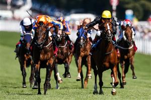 Goodwood Cup Live Stream - Watch this Glorious Goodwood race online