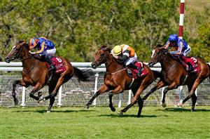 Nassau Stakes Live Stream - Watch this Glorious Goodwood race online