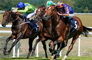mogul goodwood