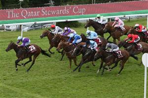 stewards' cup goodwood