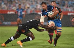 Bulls vs sharks